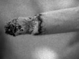 Avatare - ***Winnie-Any*** - Another Stuff�