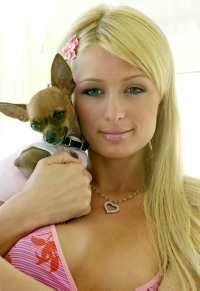 Paris Hilton - emo-kid - V.I.P.�